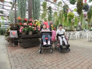 Ｂ小　修学旅行２日目　花鳥園